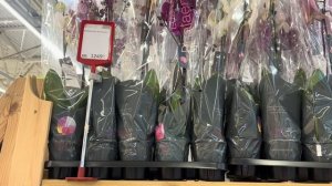 Юра заманил в лес за соком, а я сбежала в Ашан за цветами 🌸 к