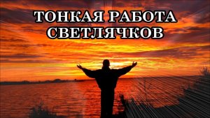 ТОНКАЯ РАБОТА СВЕТЛЯЧКОВ