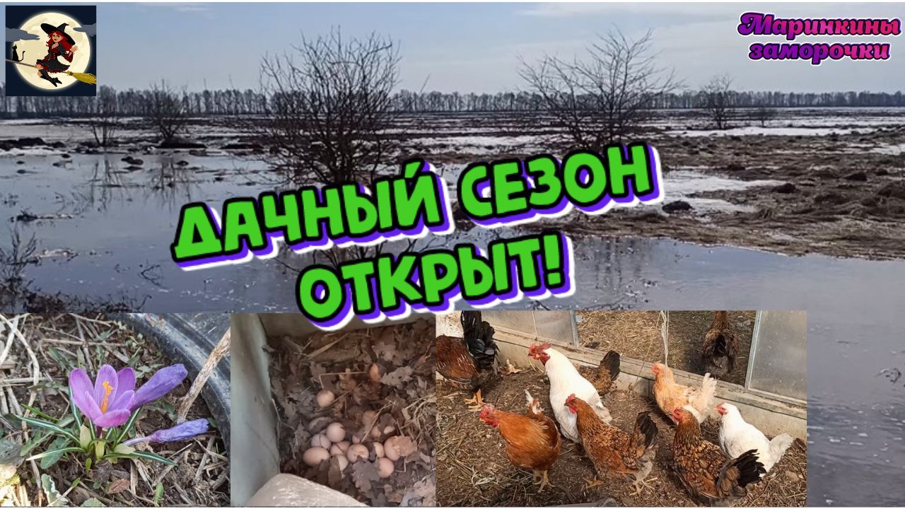 Дачный сезон открыт!