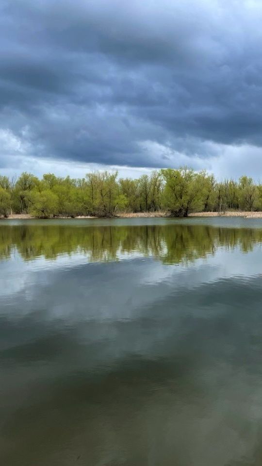 Ранее утро на Дону