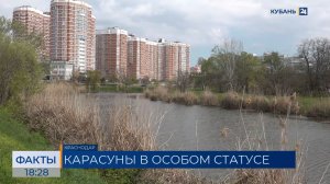 ФАКТЫ. Выпуск от 15.04.26