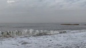 🌊ВОЛНИТЕЛЬНОЕ МОРЕ У ЖД ВОКЗАЛА. МЕСТНЫЕ СОБАЧКИ. УТРО В АДЛЕРЕ. 25.11.2025 г.