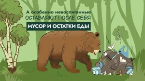 В России запускают проект, который снизит риск нападения медведей на людей