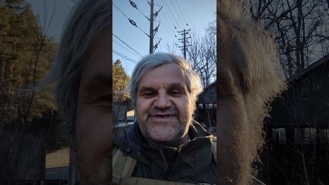 Либеральная версия свободы?