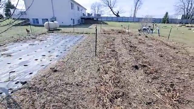 ЖИВУ В АМЕРИКЕ ДАЛЕКО ОТ ГОРОДА