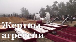 С 2014 года в Донбассе погибли около 6 тысяч мирных жителей