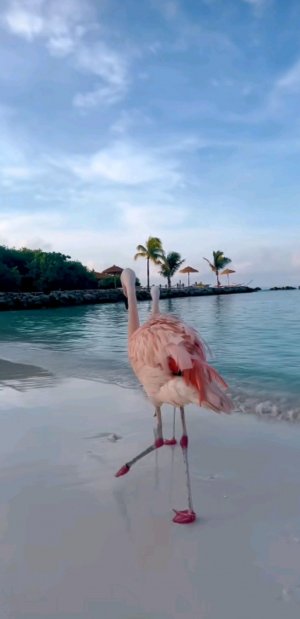 Знания Бога Всем