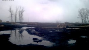 👀🤗ЛЕС🤗👀