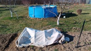 Работа в саду.Лаванда.Пересадка роз.Для меня таким должен быть