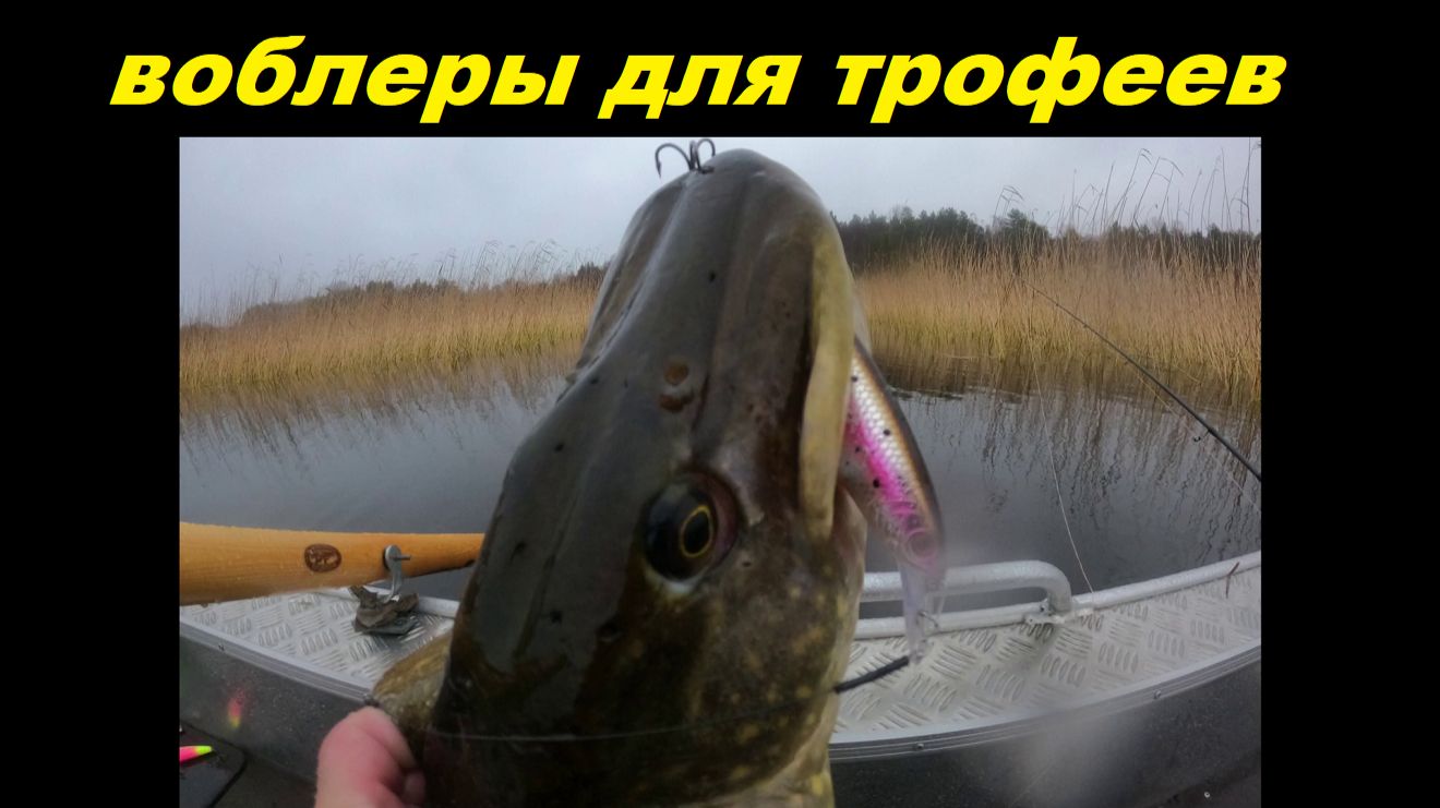 Воблеры для трофейной щуки