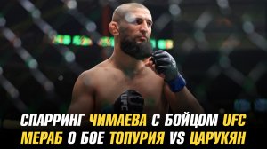 Спарринг Хамзата Чимаева с бойцом UFC / Мераб Двалишвили о бое Топурия vs Царукян