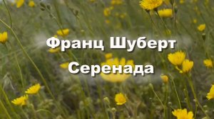Франц Шуберт. Серенада. Классическая музыка