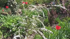 Гуляем по красивому цветнику Т. И.