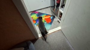 УМНЫЙ! КРАСИВЫЙ! ЛЮБИМЫЙ!