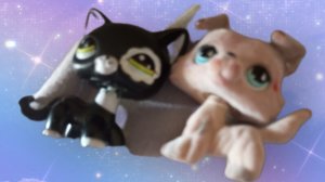 Ю Ито и Алекс Фон Толь opening