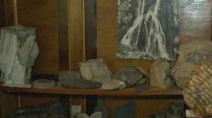 Коллекции минералов Сочинского географического общества исполнилось 60 лет