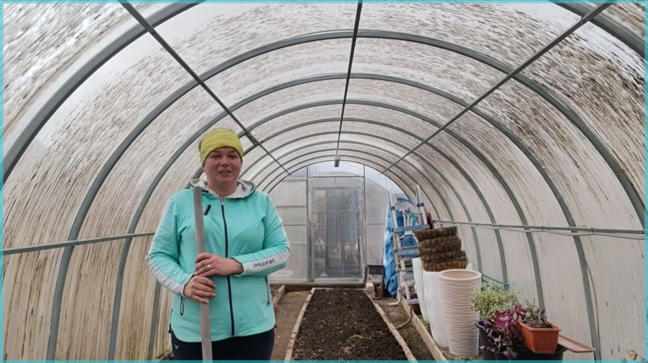 Навожу порядок в теплице.