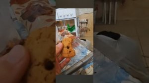 дебилизм 5 полное прохождение