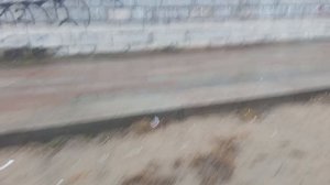 Рубрика Прогулка