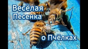Веселая песенка о пчелах.