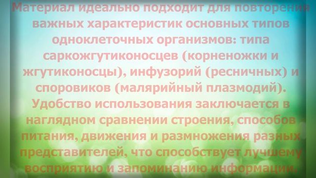 Таблица "Простейшие. Сравнительная характерисика"
