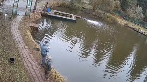 Багрится - рыбы много