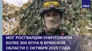 МОГ Росгвардии уничтожили более 300 БПЛА в Брянской области с октября 2025 года