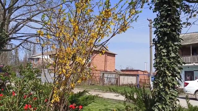 Гуляем по красивому цветнику Т. И.