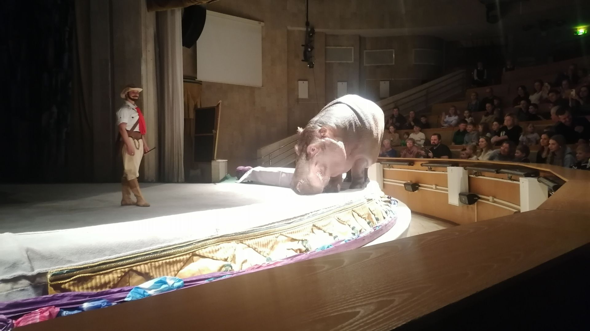 Театр зверей! Уголок дедушки Дурова