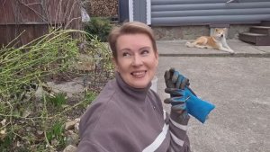 14 апреля | открыла розы, достала георгины, про уход за рододендронами