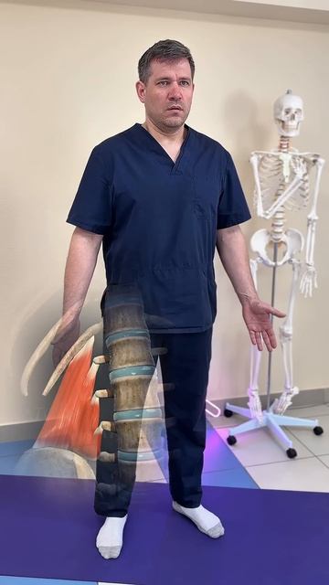 Квадратная мышца поясницы функции