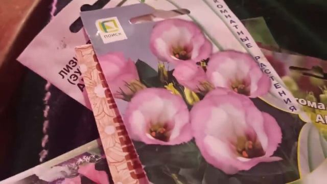 9 февраля 2024г.Мой дом .Продолжаю делать ретро проводку.