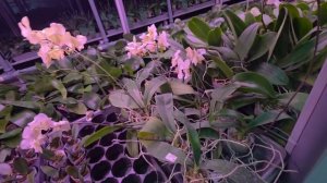 м5 распродан