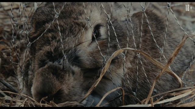 «Шурале» Трейлер