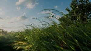 НЕ ЗАМЕЧАЕМ МЫ ПОРОЙ.