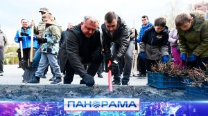 ⚡️ «Розовое достояние»: в парке Энергетиков высадили саженцы роз