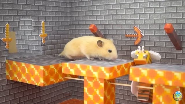 Хомячок сбегает из опасного огненного лабиринта! часть 2