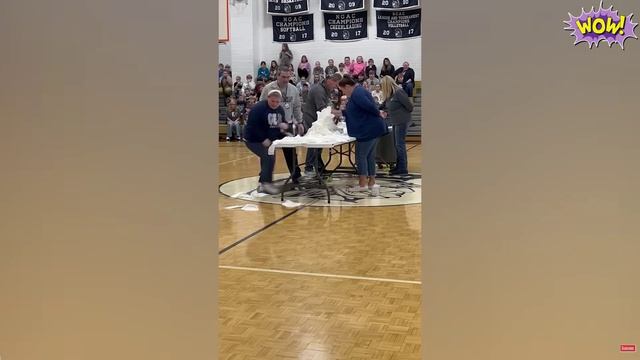 ЛУЧШИЕ ПРИКОЛЫ: СМЕШНЫЕ ВИДЕО ДЛЯ ХОРОШЕГО НАСТРОЕНИЯ