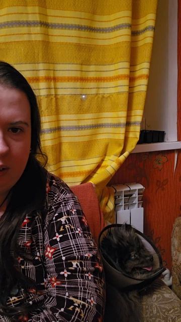 Лечим Луну шпиц собака животные шпицы