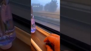 КИТАЙЦЫ просто красавцы