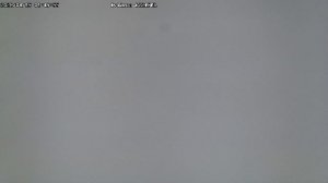 LIVE: channel43489494