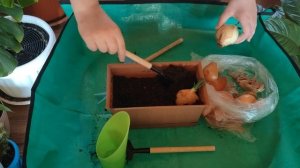 Маленький огородник: Таня сажает витамины для папы 🧅 Видео с душой!