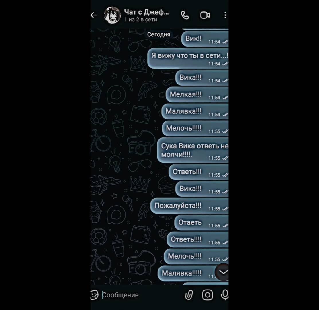 мой чат с викой