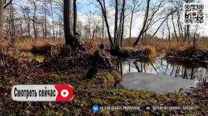 Секретное убежище для выживания в дикой природе