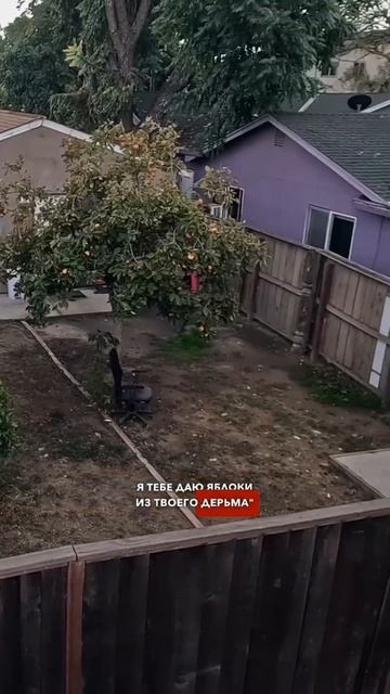 Американская притча «Говно и яблоки». Почему люди хэйтедят в интернете? 🍎💩