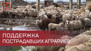 Как максимально оперативно помочь аграриям, пострадавшим от ЧС?
