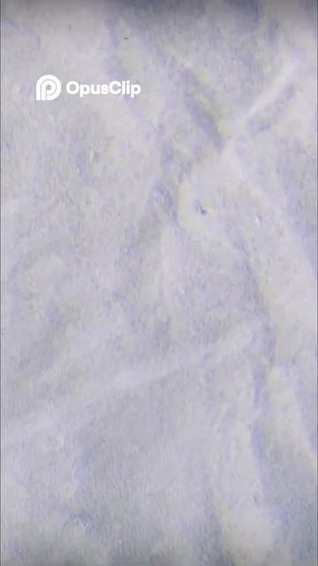 Загадка Дэвида Харкера: Тайна Джули раскрыта!