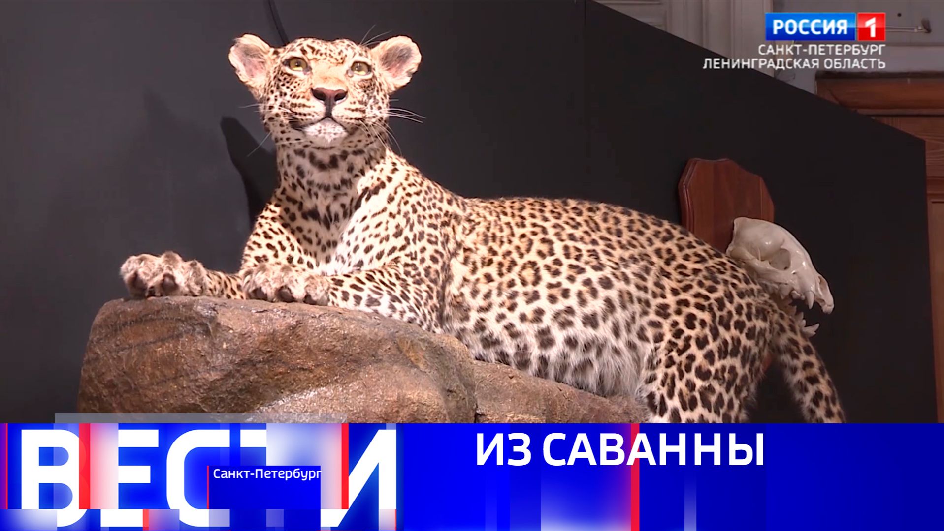 Вести Санкт-Петербург. Выпуск 21.10 от 15.04.2026