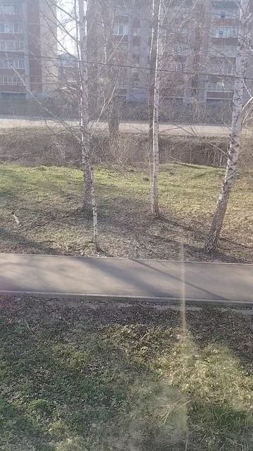 Погода 15.04.26