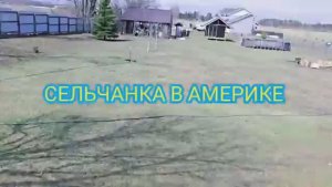 Сельчанка в Америке ЖИВУ В АМЕРИКЕ ДАЛЕКО ОТ ГОРОДА